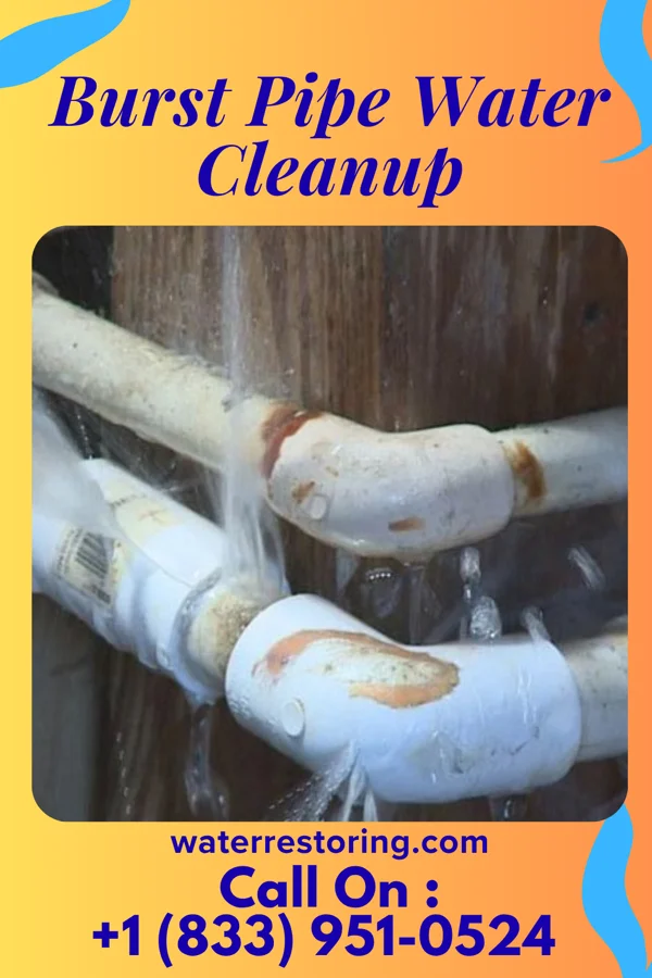 Burst Pipe Water Cleanup in Beurys Lake, PA