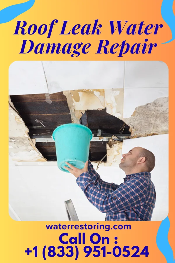 Roof Leak Water Damage Repair in Beurys Lake, PA