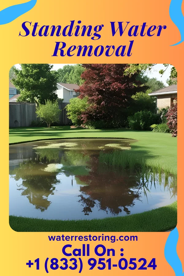 Standing Water Removal in Beurys Lake, PA
